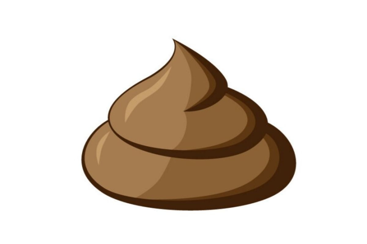 Gqeberha protesters throw poo at ward members