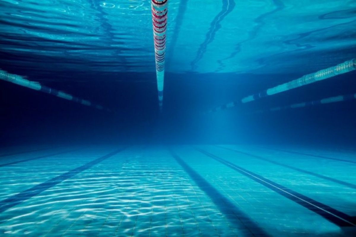 Will Swimming SA's crushing court loss spark change across SA sport?
