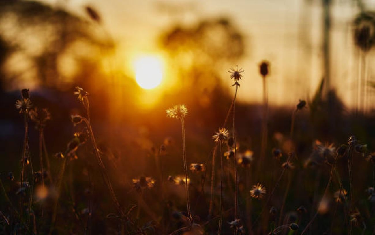 Cooler conditions set in as Gauteng experiences breezy conditions