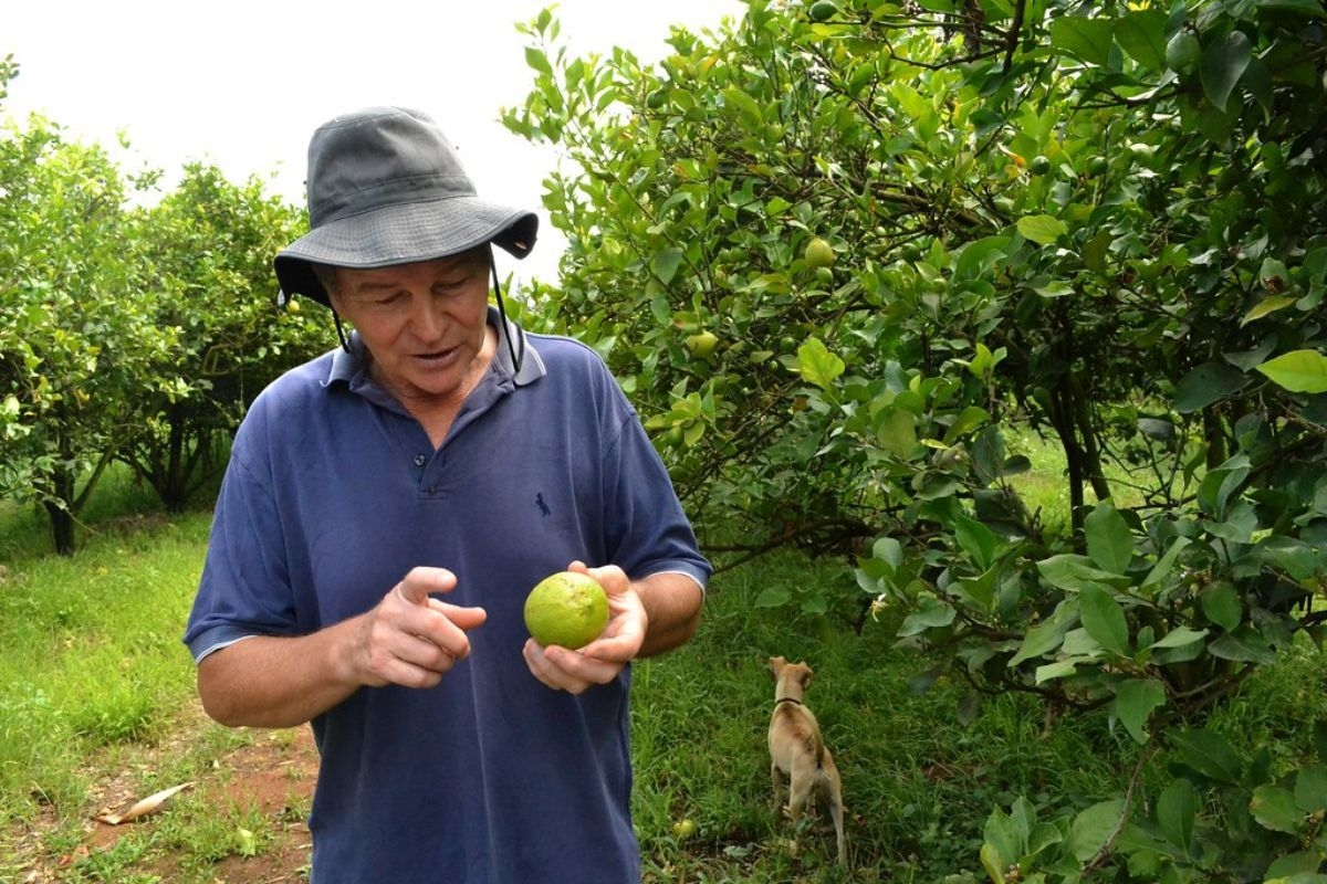 Trump's tariffs will hurt the same SA farmers he claimed to support