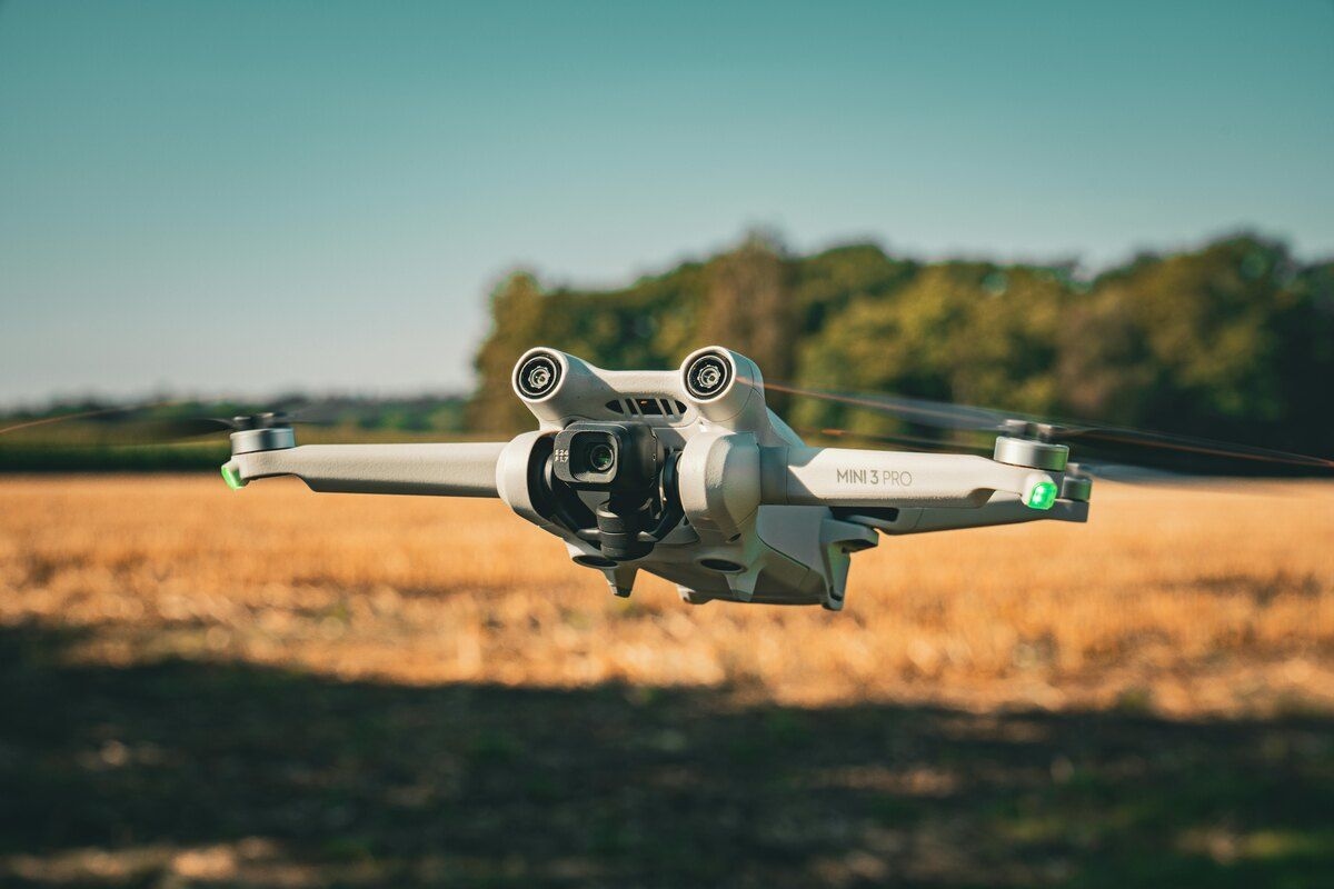SANParks outlaws drones in Kruger Park [video]