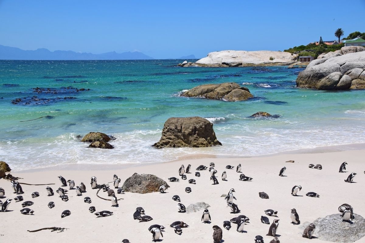 Tourism stats: South Africa sees over 4.2 million visitors this year