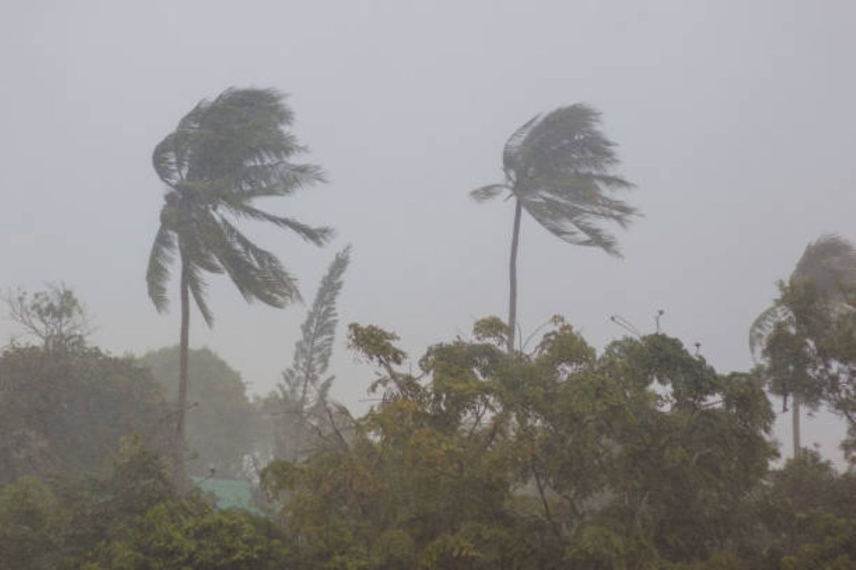 Damaging coastal winds threaten parts of KwaZulu-Natal