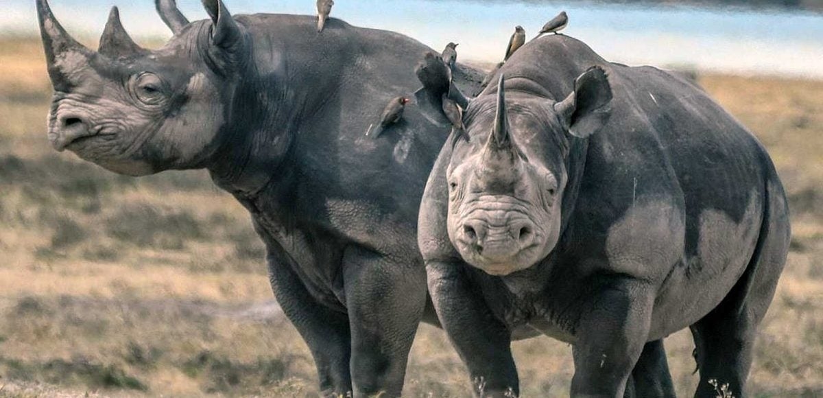 Tanzania is ready for World Travel Awards Africa & Indian Ocean Gala Ceremony 2025