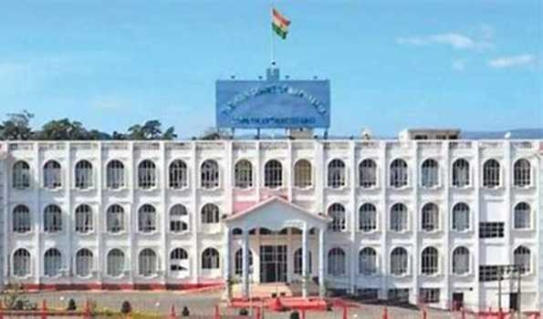 Form panel to address stray dog menace: Meghalaya HC