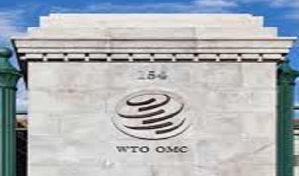 WTO key to resolving global trade tensions: Italian economist