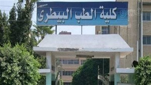 تنسيق الجامعات 2025، البرامج الدراسية الجديدة بطب بيطري القاهرة والوظائف المؤهلة لها