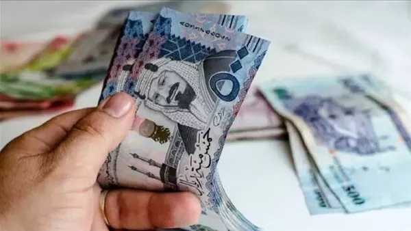 سعر الريال السعودي مقابل الجنيه بالبنوك اليوم 29 يونيو 2025