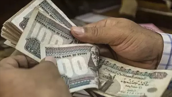ضوابط تحديد الحد الأدنى والأقصى للدعم النقدي وفقا للقانون