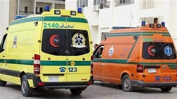 مشاجرة بالأسلحة النارية في كفر الزيات تنهي حياة أحد المارة