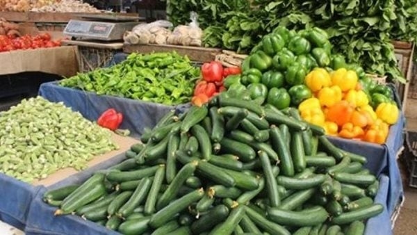 أسعار الخضار اليوم الجمعة، ارتفاع 5 أصناف منها الخيار والكوسة