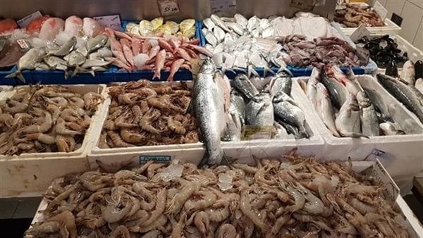 سعر السمك اليوم الثلاثاء، ارتفاع البلطي وقفزة في السبيط وانخفاض كبير في المكرونة