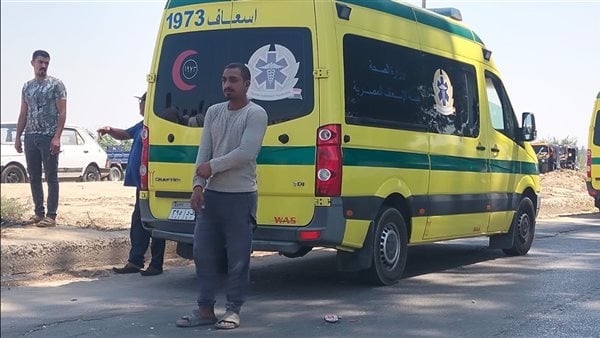 مصرع شخص صعقا بالكهرباء في الإسماعيلية