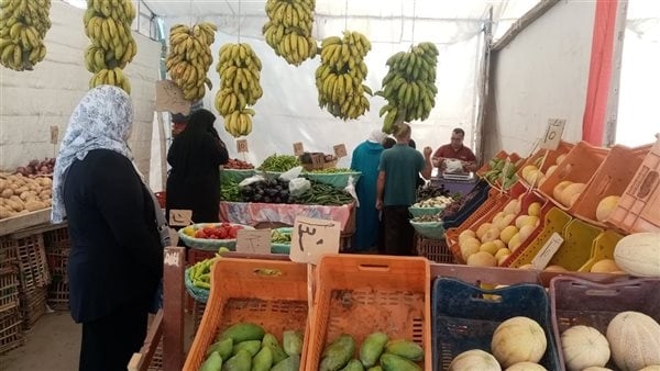 محافظ الدقهلية: استمرار انطلاق أسواق اليوم الواحد بتخفيضات تصل إلى 30%