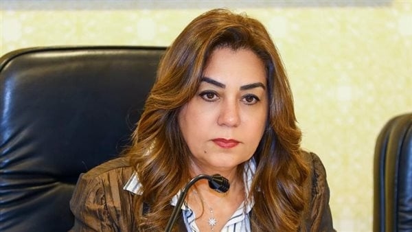 وزيرة التنمية المحلية تتابع مع محافظي المنوفية والجيزة تداعيات حادث الطريق الإقليمي