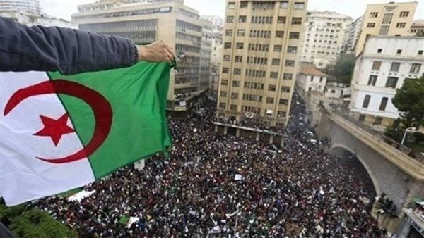 هيفاء وهبي تهنئ الجزائر بعيد الاستقلال