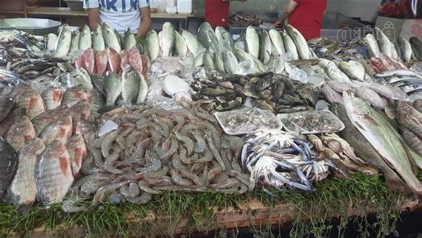 الجمبري بـ 400 جنيه، سعر السمك اليوم في سوق العبور