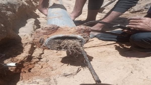 استخراج جذور أشجار من شبكة مياه بمنطقة الـ 40 فدان في الإسماعيلية (صور)