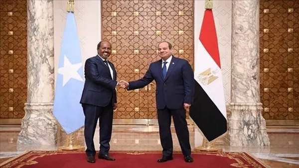 تطورات كبيرة فى العلاقات الاقتصادية بين مصر والصومال.. 127.7 مليون دولار حجم التبادل التجارى خلال 2024.. صادرات منتجات مطاحن بقيمة 60 مليون دولار