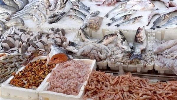 سعر السمك اليوم، انخفاض كبير في البلطي والكابوريا وارتفاع المكرونة