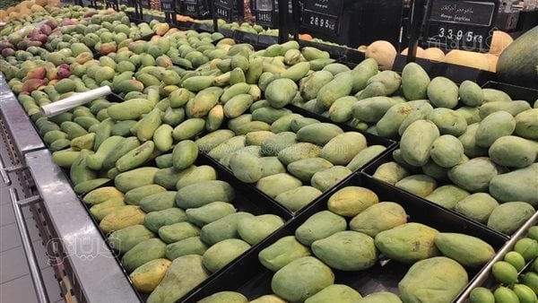 أسعار المانجو اليوم الأحد 13 يوليو 2025 في سوق العبور