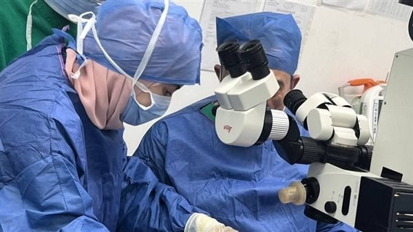 الصحة: خبير طبي عالمي في مستشفى السلام لعلاج حالات الدوالي والجلطات الثلاثاء