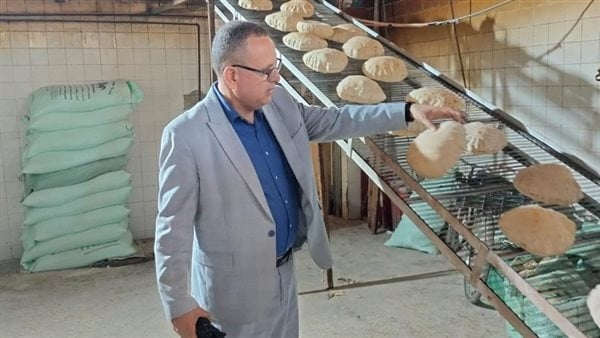 تحرير 103 محاضر متنوعة في حملات تموينية بالدقهلية