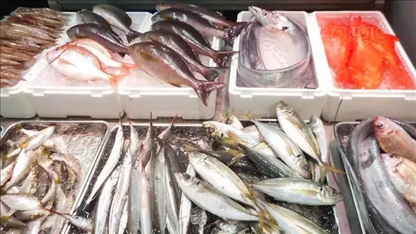 سعر السمك اليوم الأربعاء، ارتفاع البلطي وقفزة جديدة في المكرونة وانخفاض البوري