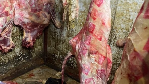ضبط 5 أطنان لحوم غير سليمة ومذبوحة خارج السلخانة بالمنوفية