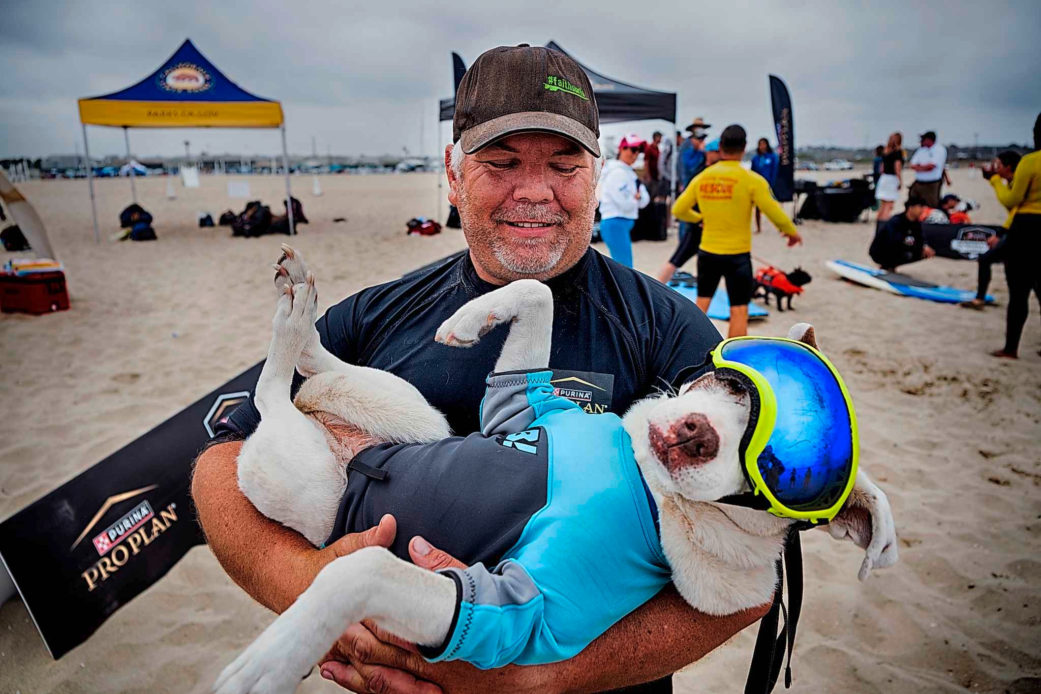 In pictures: Top surfing dogs catching waves at Huntington Beach