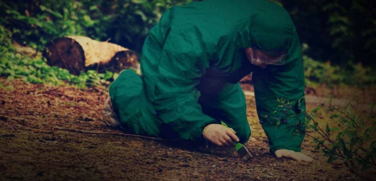 Underrated true crime gems deliver tawdry, crowd-pleasing thrills