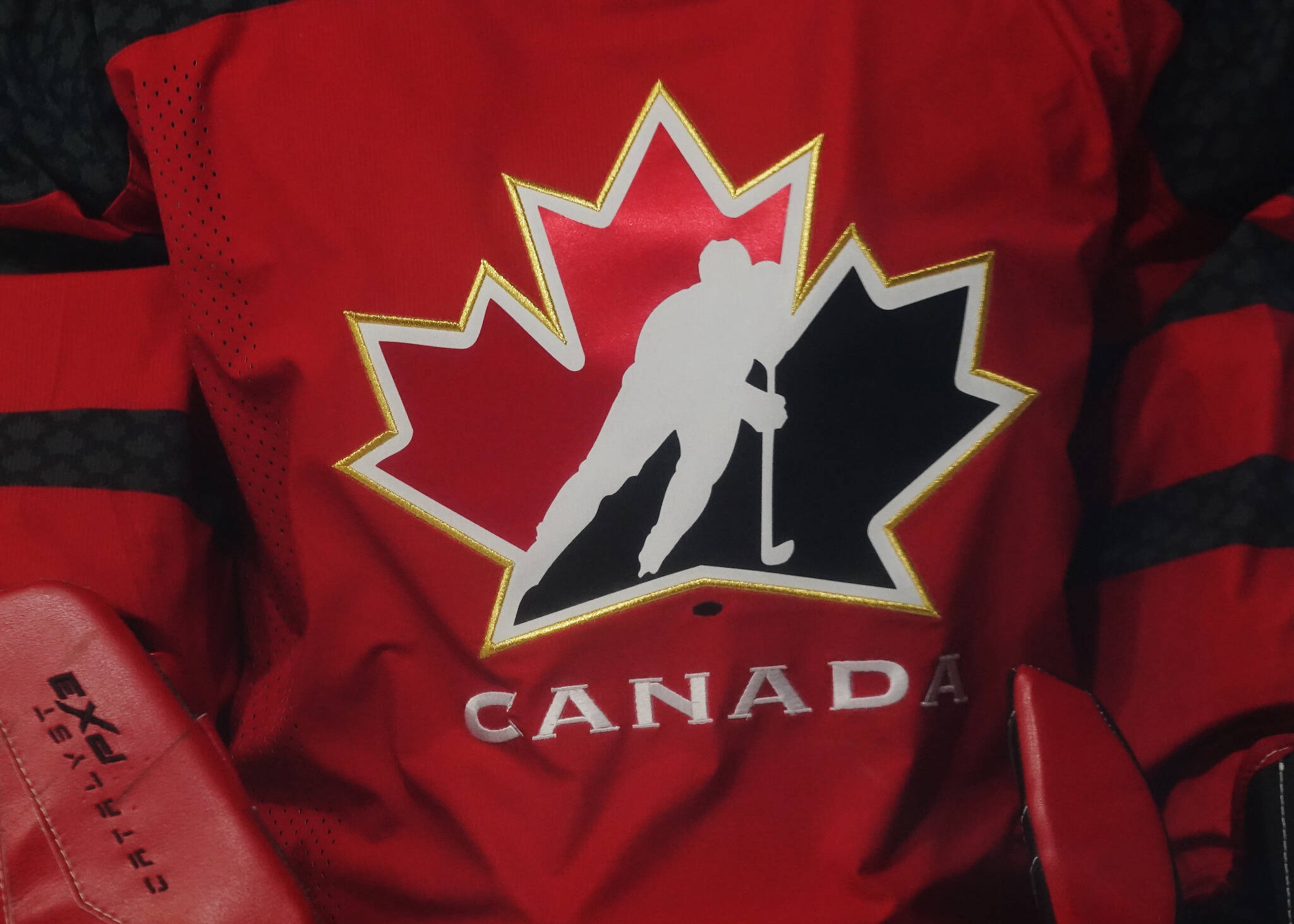 Hockey's caveman culture must come out of the dark ages