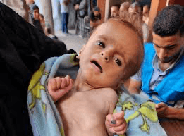 Trump team rethinks Gaza strategy after 6 months of failure