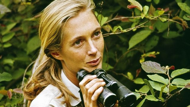 'They hold hands, they embrace, they kiss': The woman who changed our view of chimps