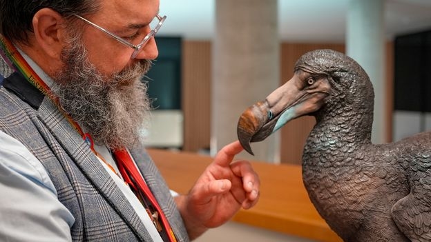 'It's just a weird, weird bird': Why we got the dodo so absurdly wrong