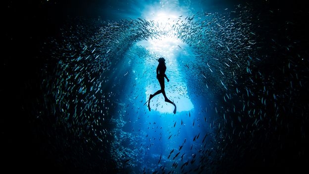 Record-breaking divers are pushing human limits and reshaping scientists' view of our species