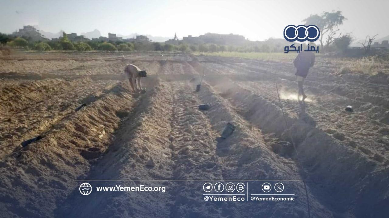 إب: المنظمة الدولية للهجرة تنجز مشروع ري زراعي بدعم ألماني